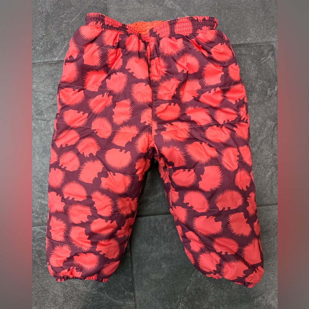 Patagonia 2T snow pants with hedgehogs